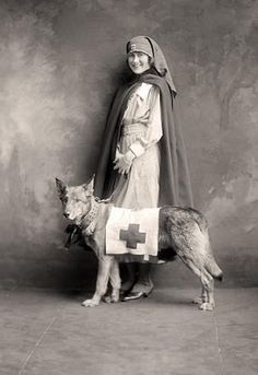 nurse dog